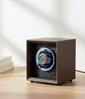 Watch Storage & Winders