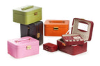 Quinn Jewelry Case