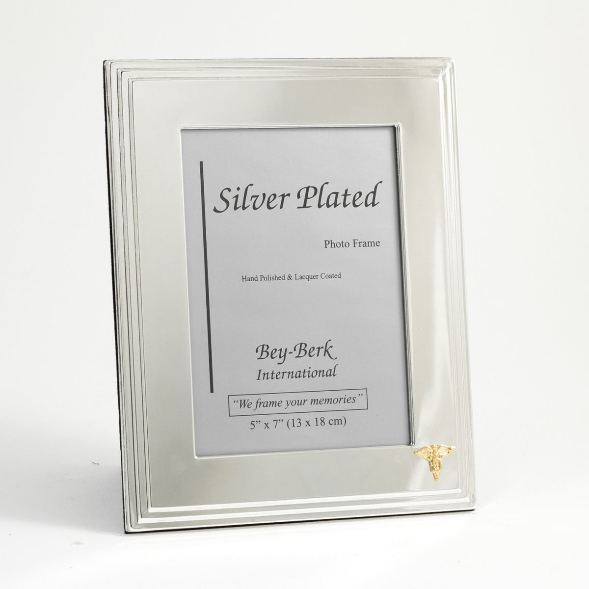"Hygieia" Picture Frame