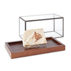 10"x5"x5" Display Case