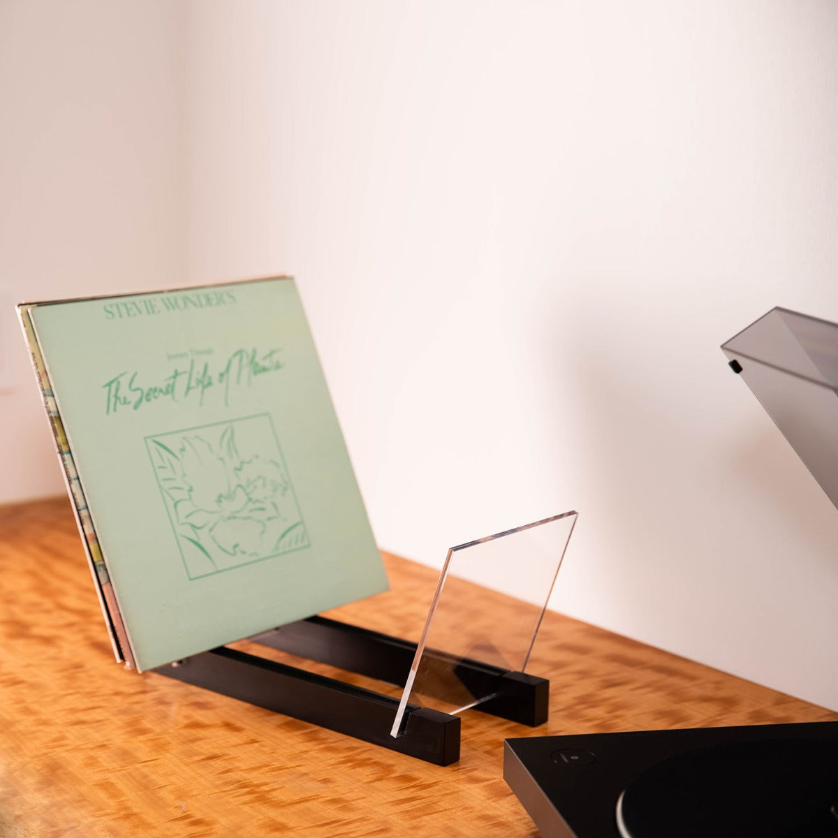 Axel Vinyl Record Storage Holder