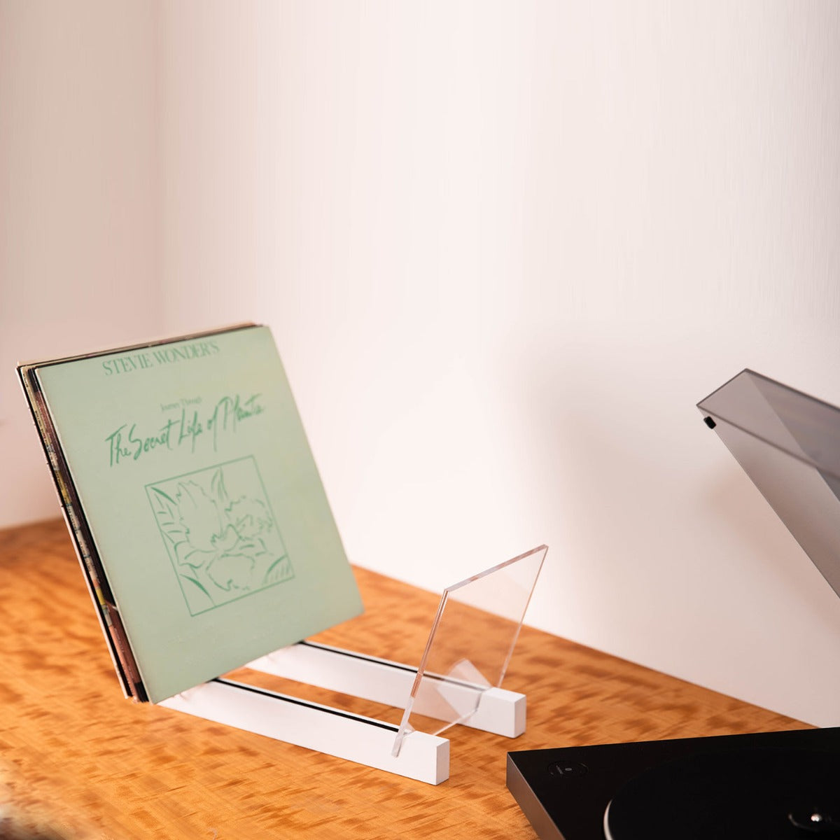 Axel Vinyl Record Storage Holder